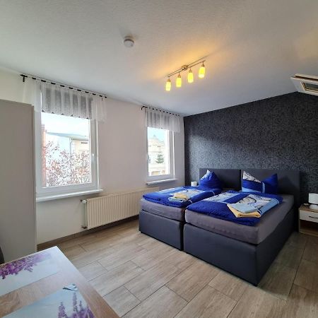 Pension Zum Holzwurm วิทเทนเบิร์ก ภายนอก รูปภาพ